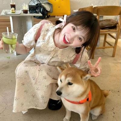 爱诫